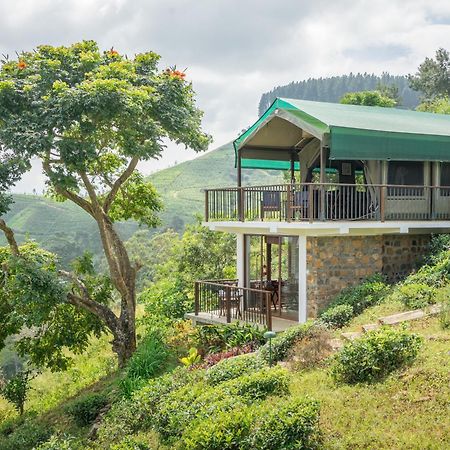 康提 玛杜可茶园生态旅馆酒店 外观 照片