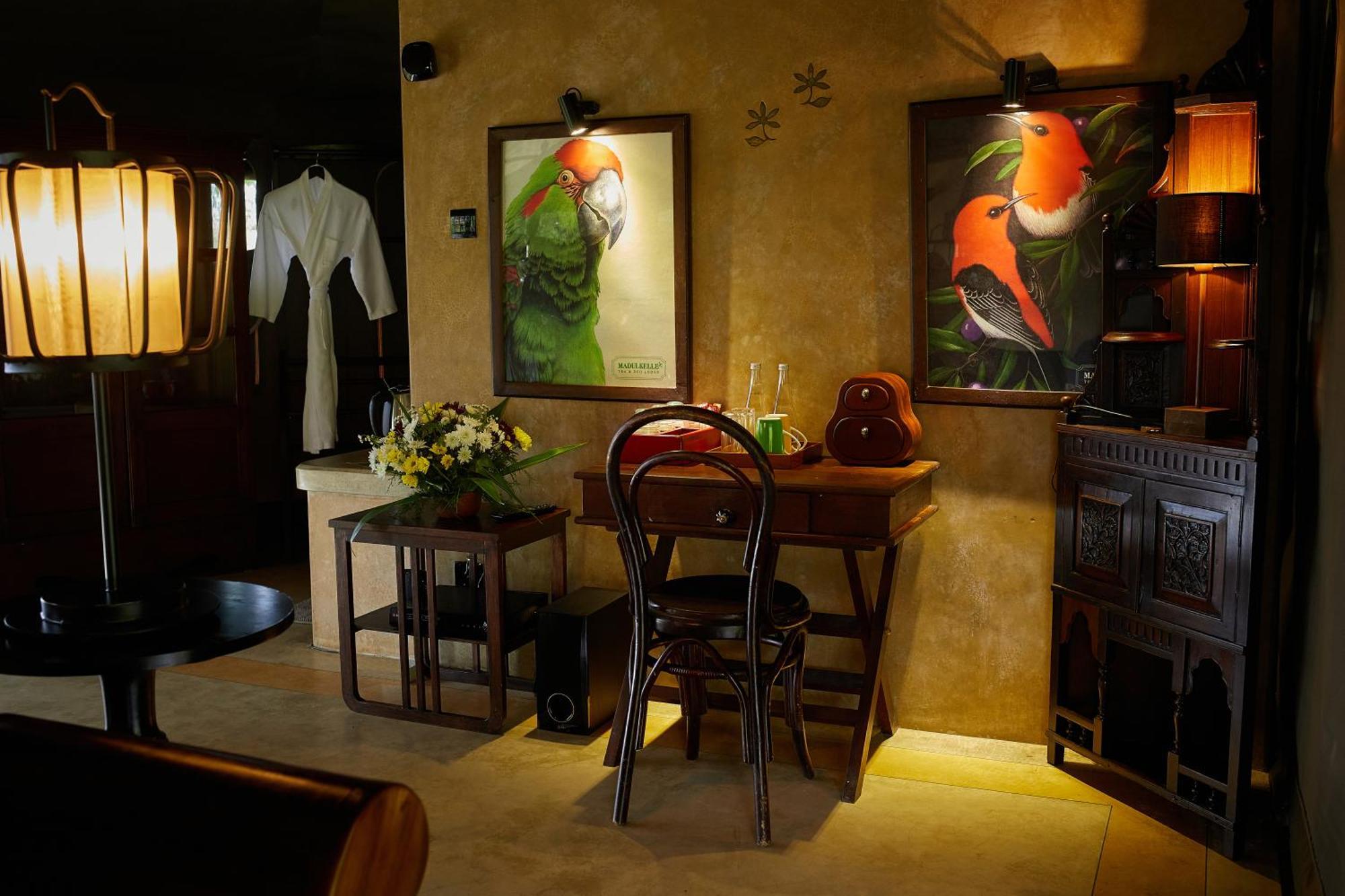 康提 玛杜可茶园生态旅馆酒店 外观 照片