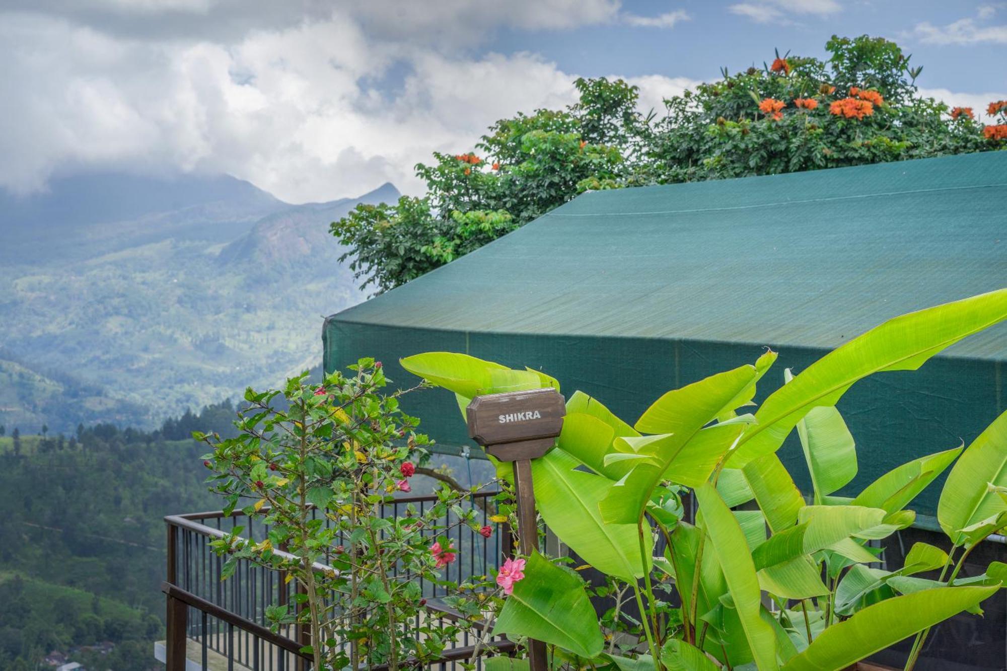 康提 玛杜可茶园生态旅馆酒店 外观 照片