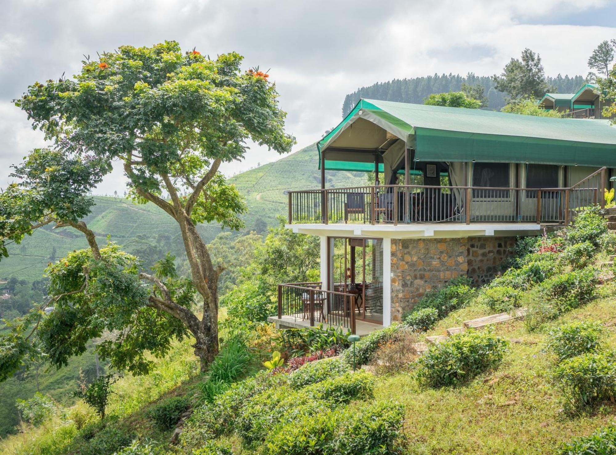 康提 玛杜可茶园生态旅馆酒店 外观 照片