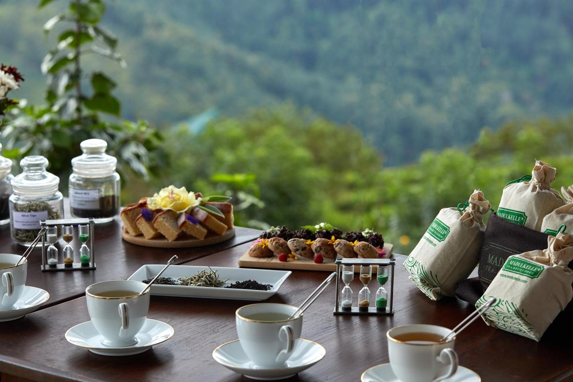 康提 玛杜可茶园生态旅馆酒店 外观 照片