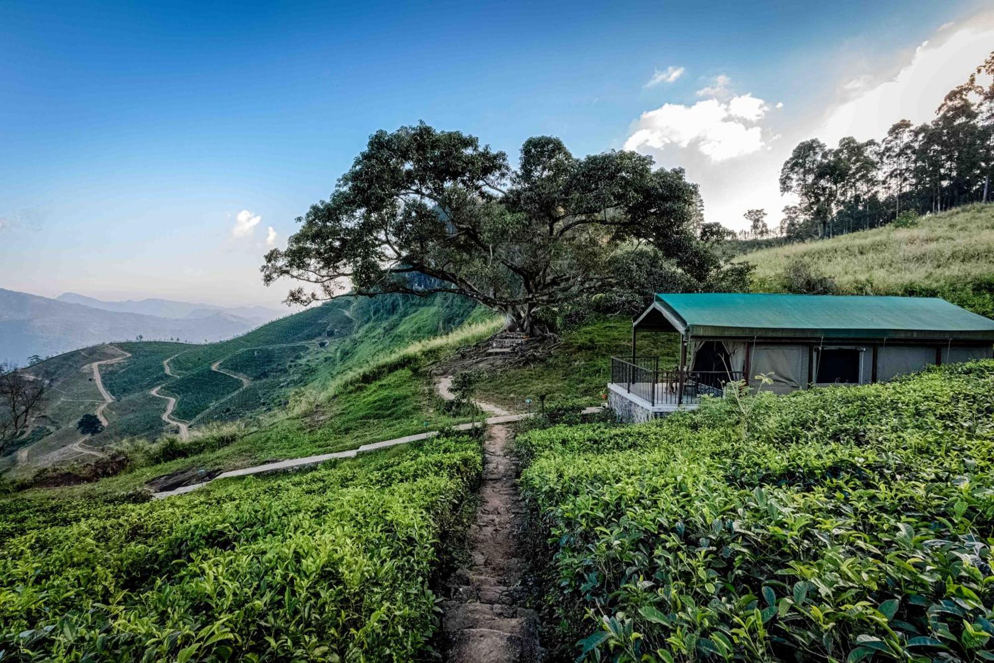 康提 玛杜可茶园生态旅馆酒店 外观 照片