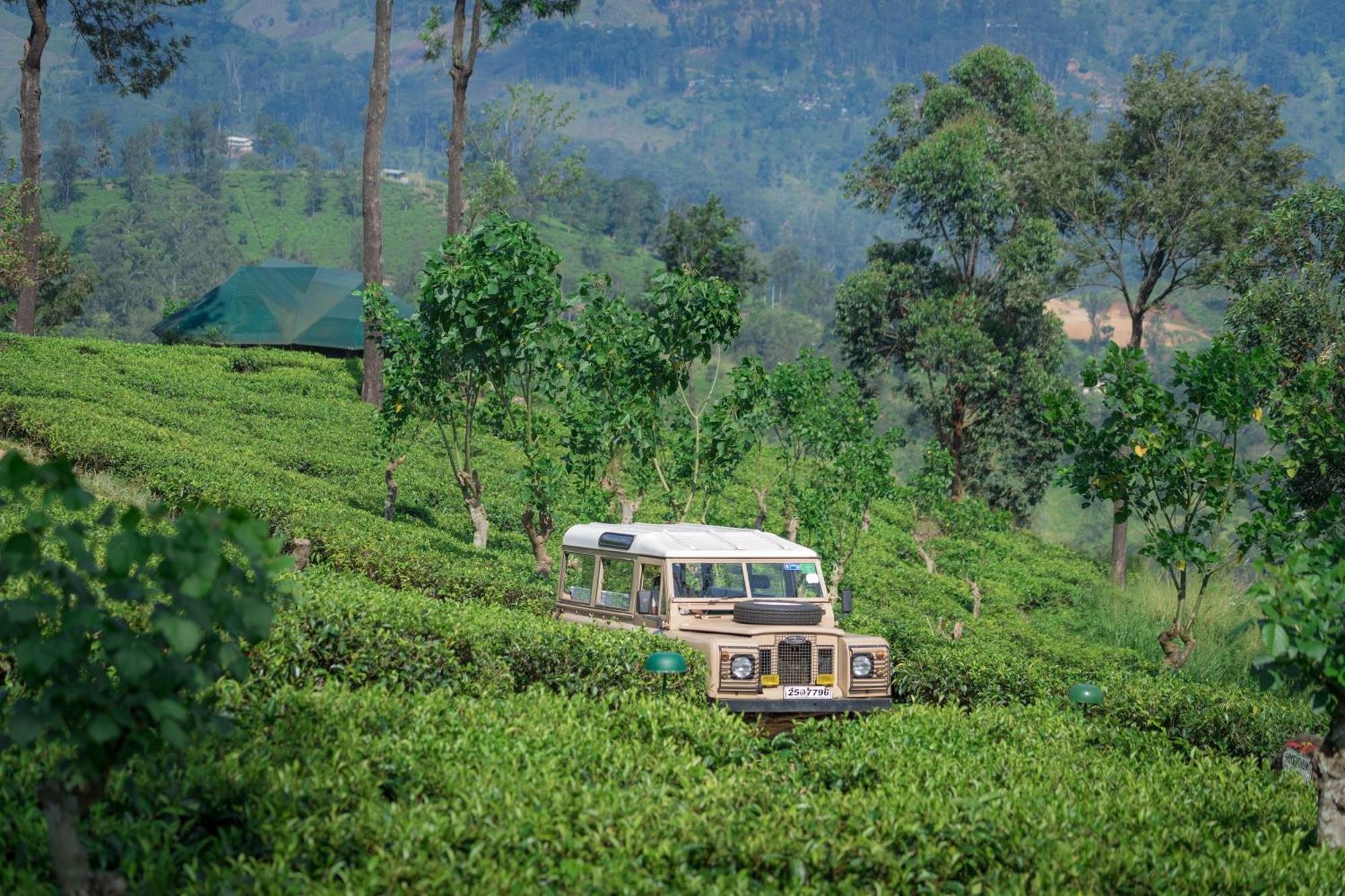 康提 玛杜可茶园生态旅馆酒店 外观 照片