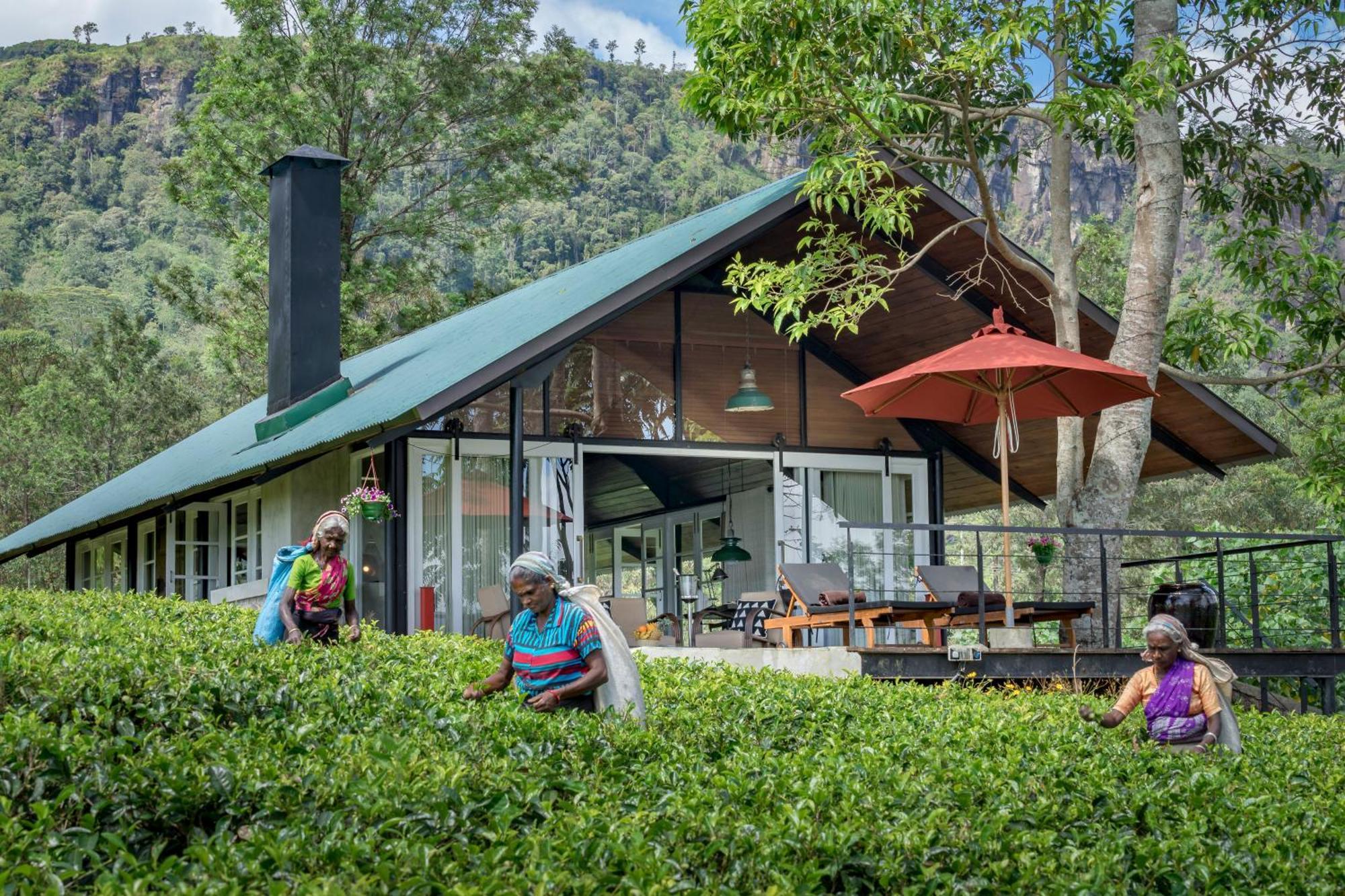 康提 玛杜可茶园生态旅馆酒店 外观 照片